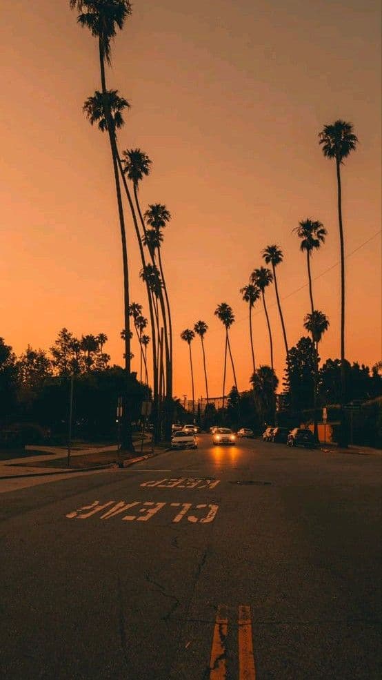 Cinematic Visual Treatment